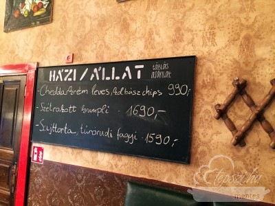 Házi/Állat