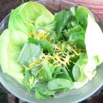 Pitypangos zöld saláta