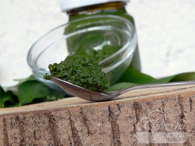 Medvehagyma pesto