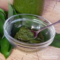 Medvehagyma pesto