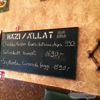 Házi/Állat